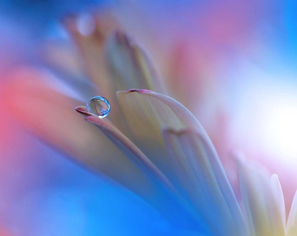 , Juliana Nan