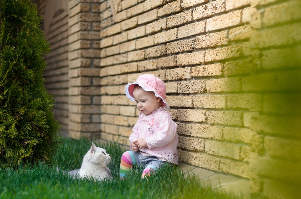 дети, ребенок, кот, трава, cat, green, kids, child, Павел Нагорный