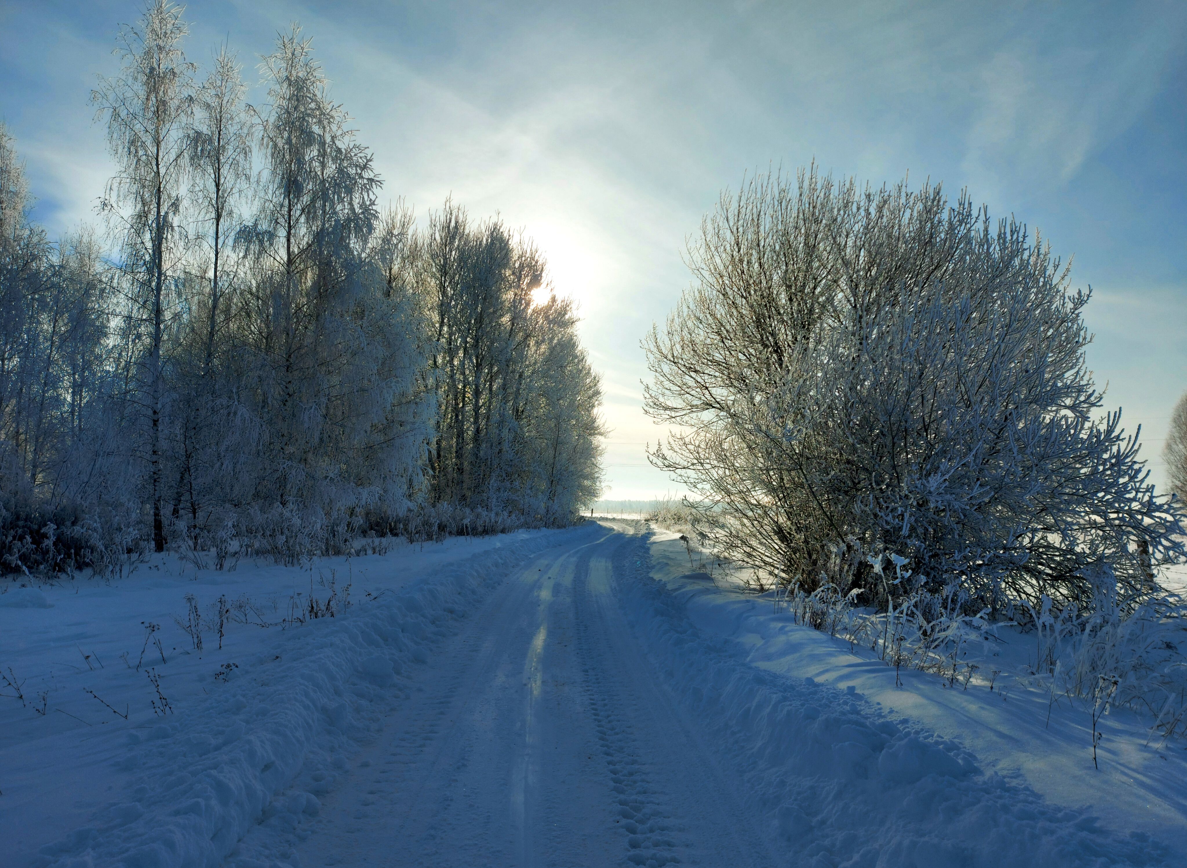 снег, зима, дорога, солнце, деревья, Валерий Савостьянов