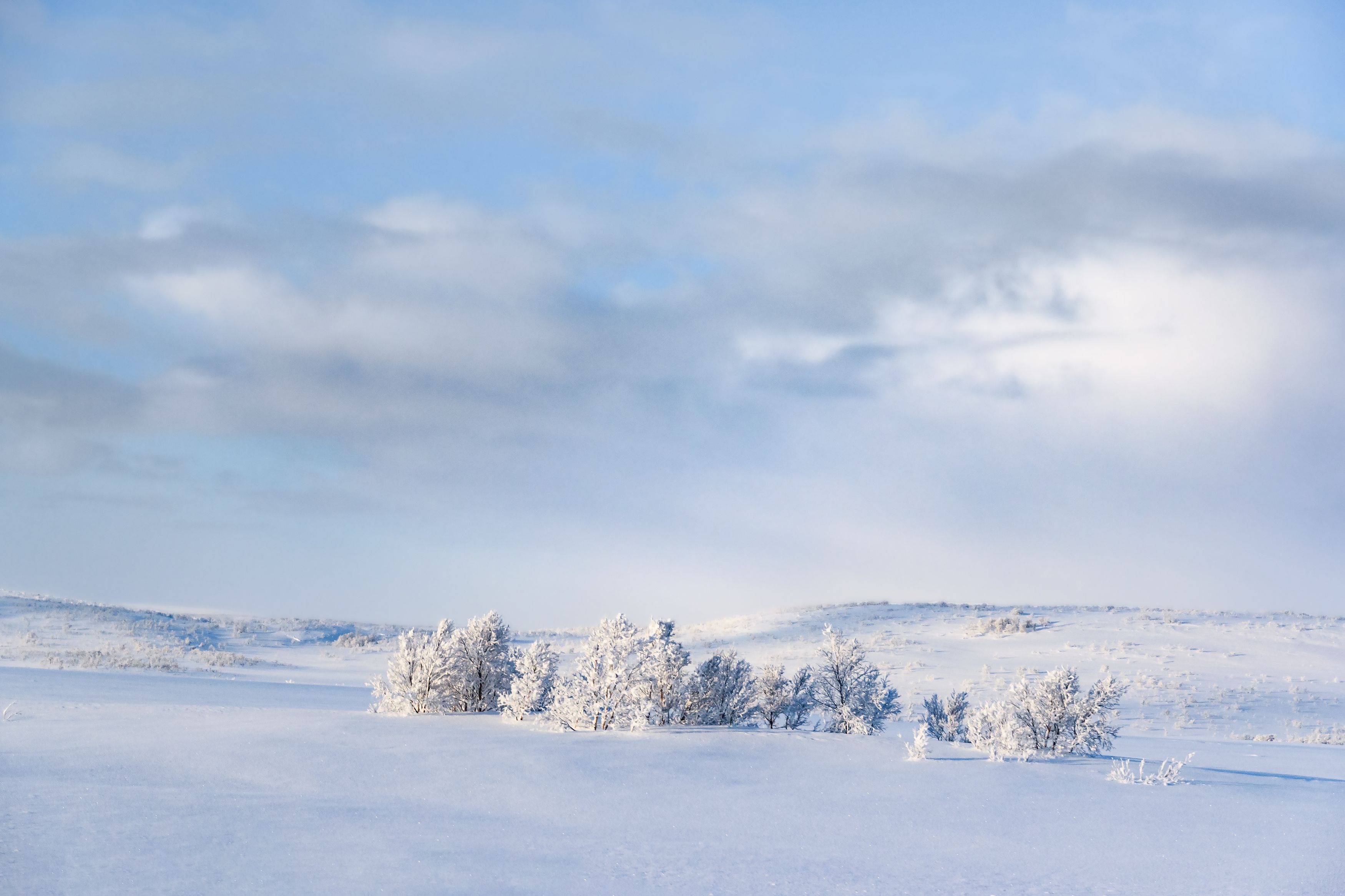 зима териберка мурманск север снег north snow winter, Рохмистрова Мария