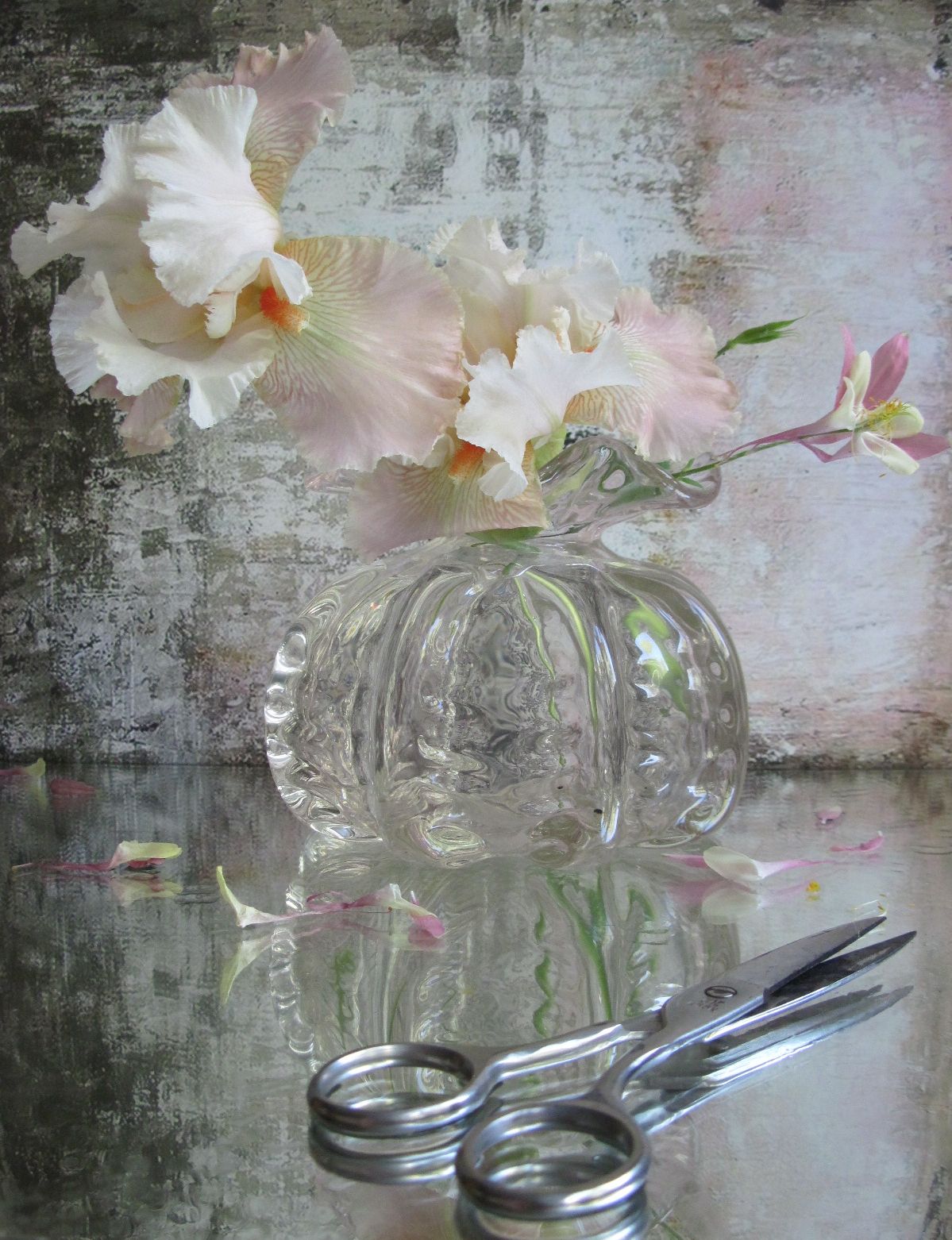 цвветы, букет, ирис, аквилегия, ваза, стекло, ножницы, Наталия Тихомирова