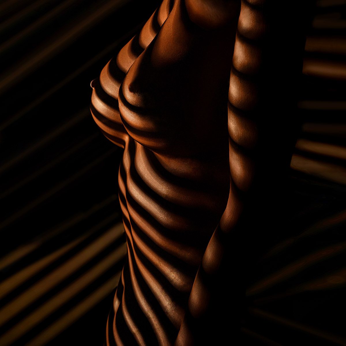 nude,nudeds, model, body, lowkey, blinds, sexy, erotic, breasts, bodyart, nude art, nude, girl, woman, model, curves, lines, zebra art, stripes, lights, shadows, Liebrand Kristian
