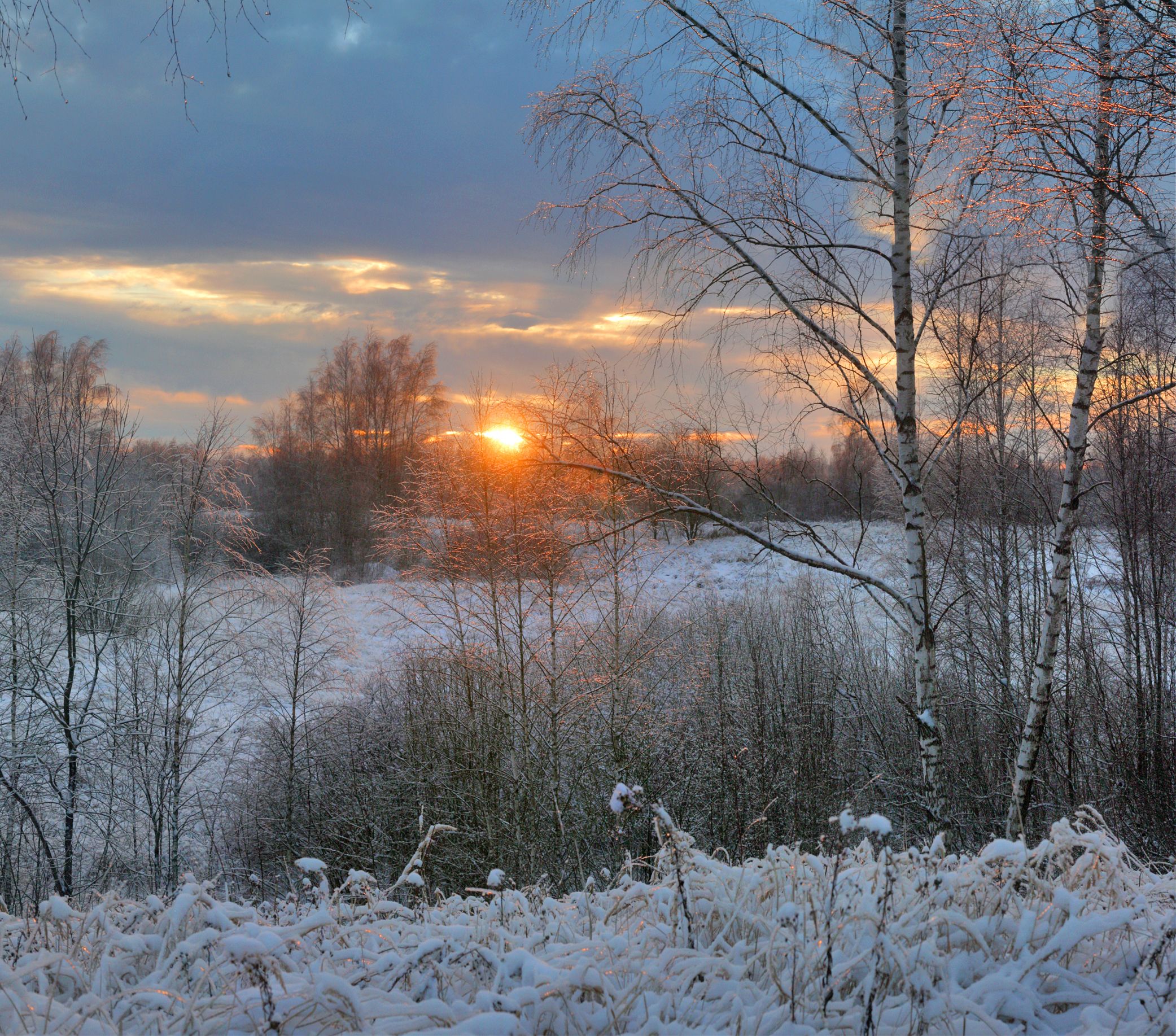 зима , поле , солнце , закат , лес, Александр Свистков