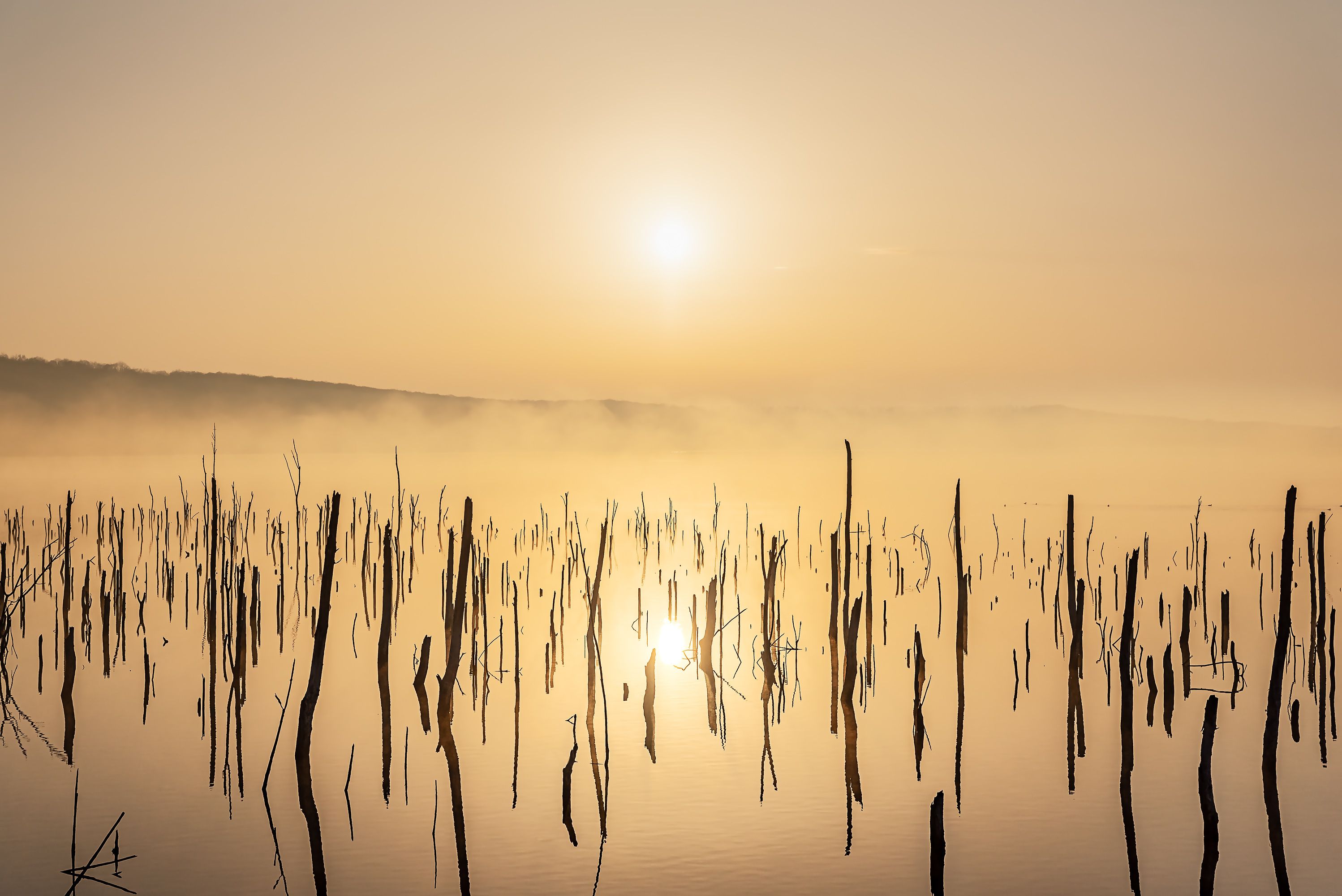  рассвет, туман, солнце, озеро, Zakharov Armen