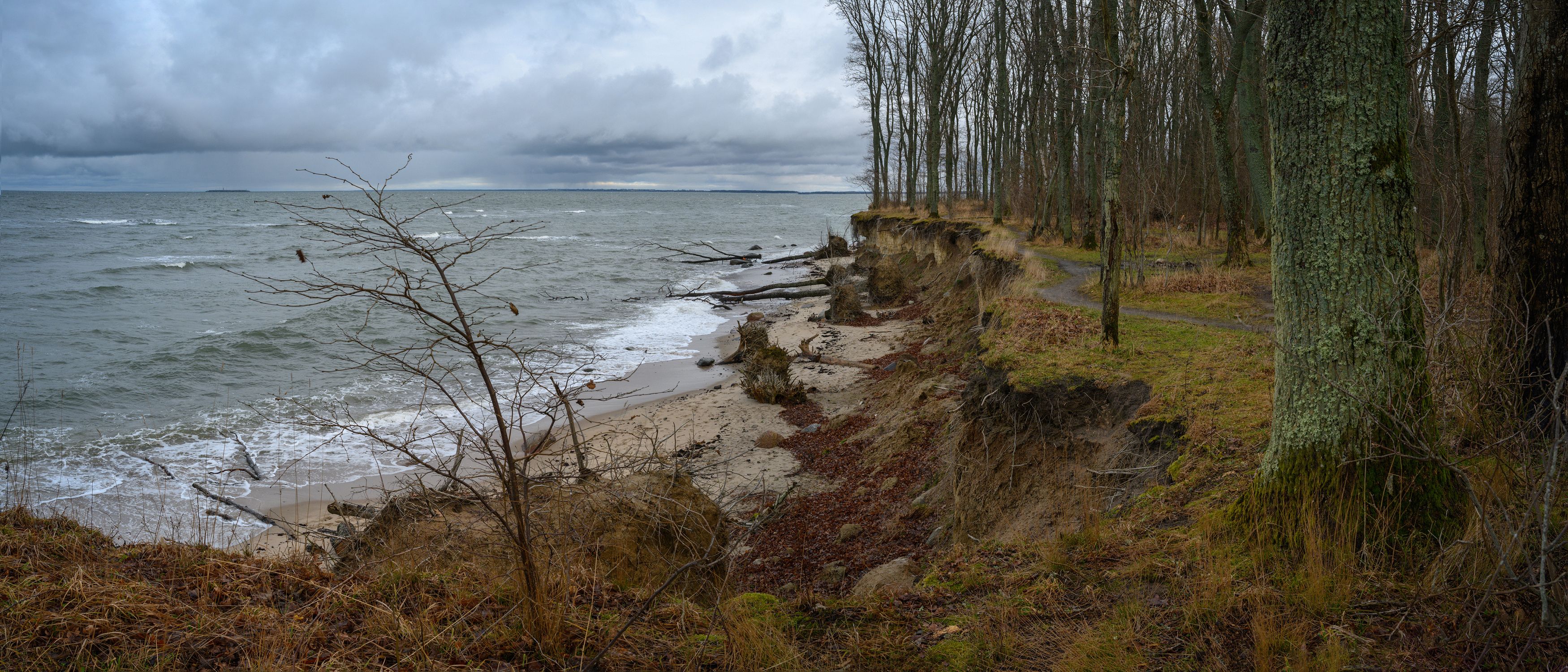 балтийское море, тучи, лес, зима, Popoff Dmitry