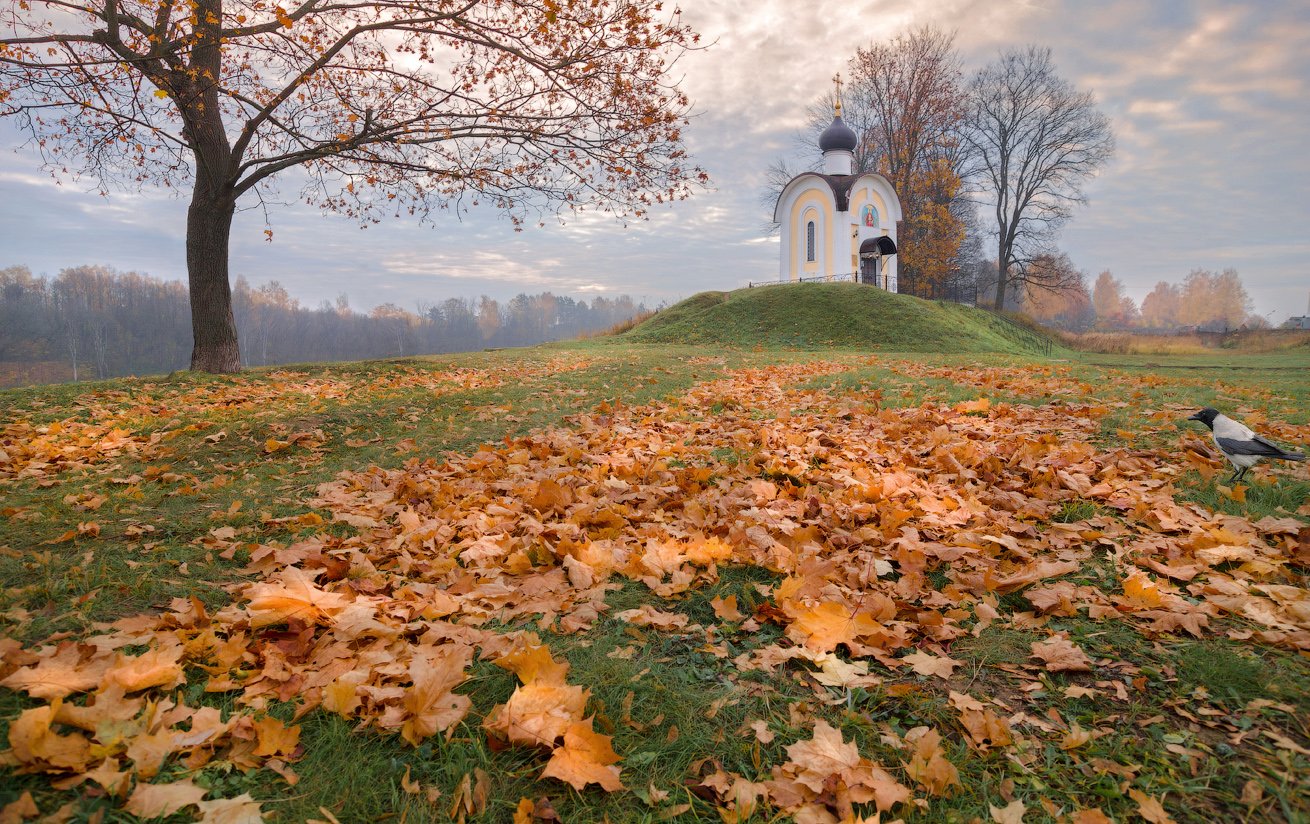 ворона, деденево, клён, опавшие листья, осень, часовня, Виктор Климкин