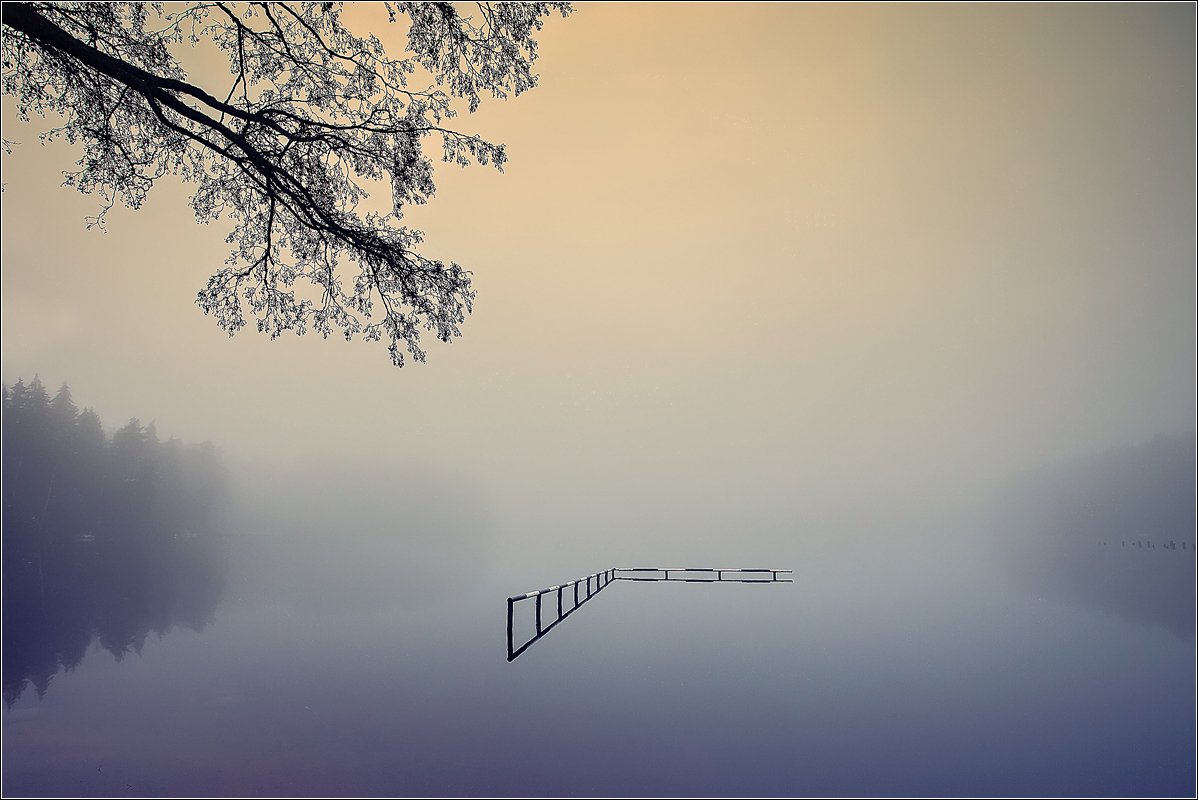 morning, fog, silence,lake, Daiva