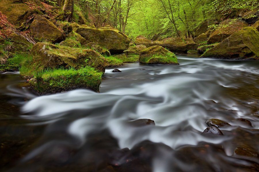 Czech republic, Bohemian Switzerland, Czech Switzerland, böhmische schweiz, river, Kamenice, river Kamenice, spring, long exposure, nde, spring colors, morning, stones,  , Daniel Řeřicha