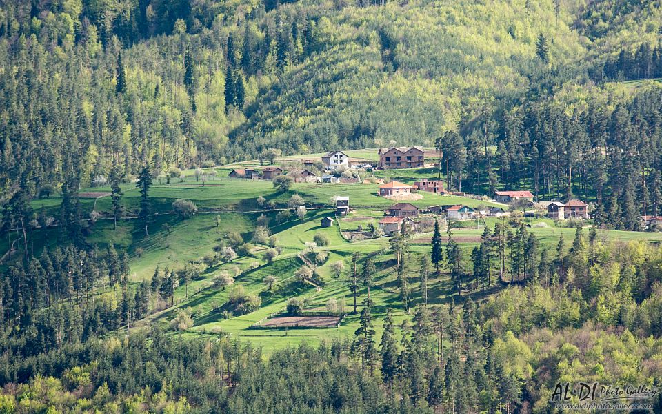 building, Bulgaria, field, forest, meadow, mountain, Rhodope, spring, tree, Александър Димитров