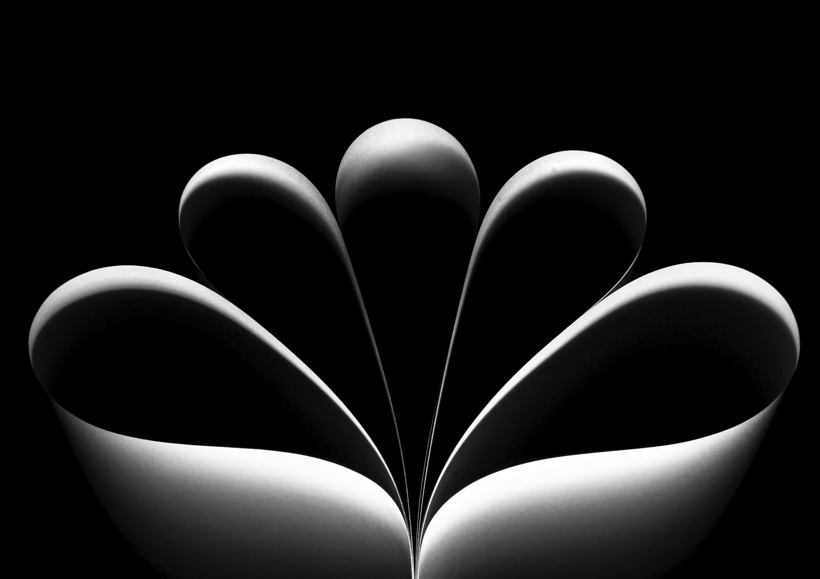 Abstract, Black & white, Jozef kiss, Jozefkiss.com, Symmetry, Jozef Kiss