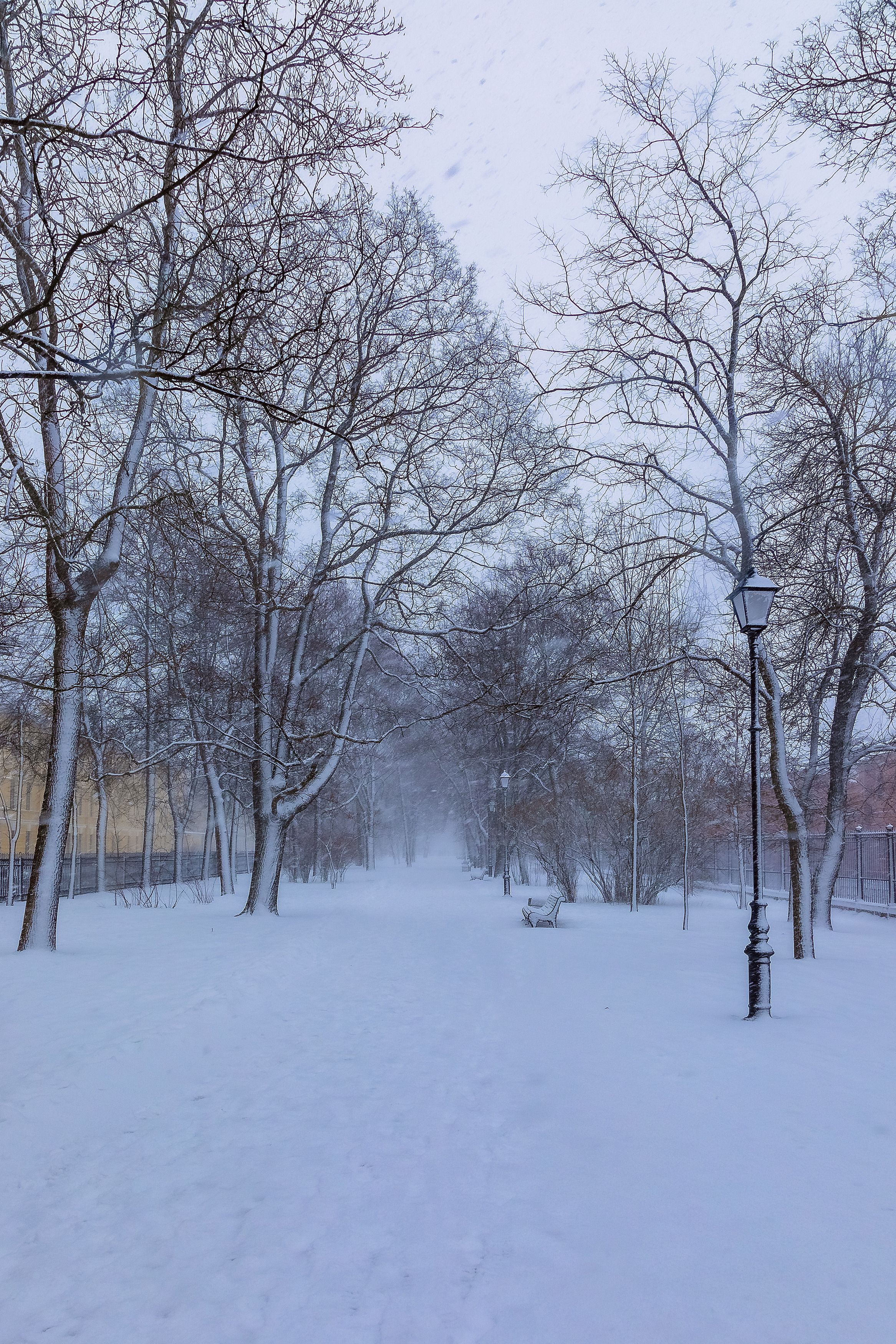 пейзаж, кронштадт, зима, парк, метель, Игнатьев Александр
