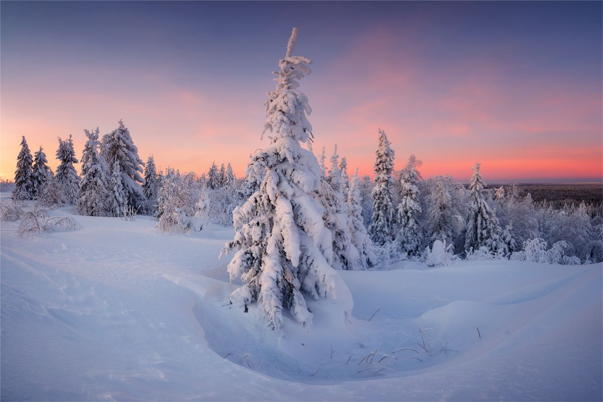 урал..пермскийкрай.тайга.горы.лес.солнце, небо.краскизаката, пейзаж, Николай Бузмаков