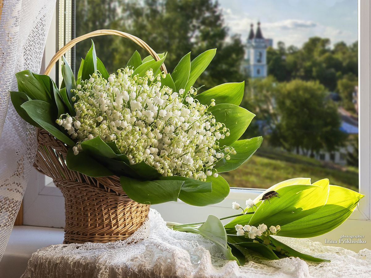 натюрморт, весна, цветы, окно, ландыши, букеты, Приходько Ирина