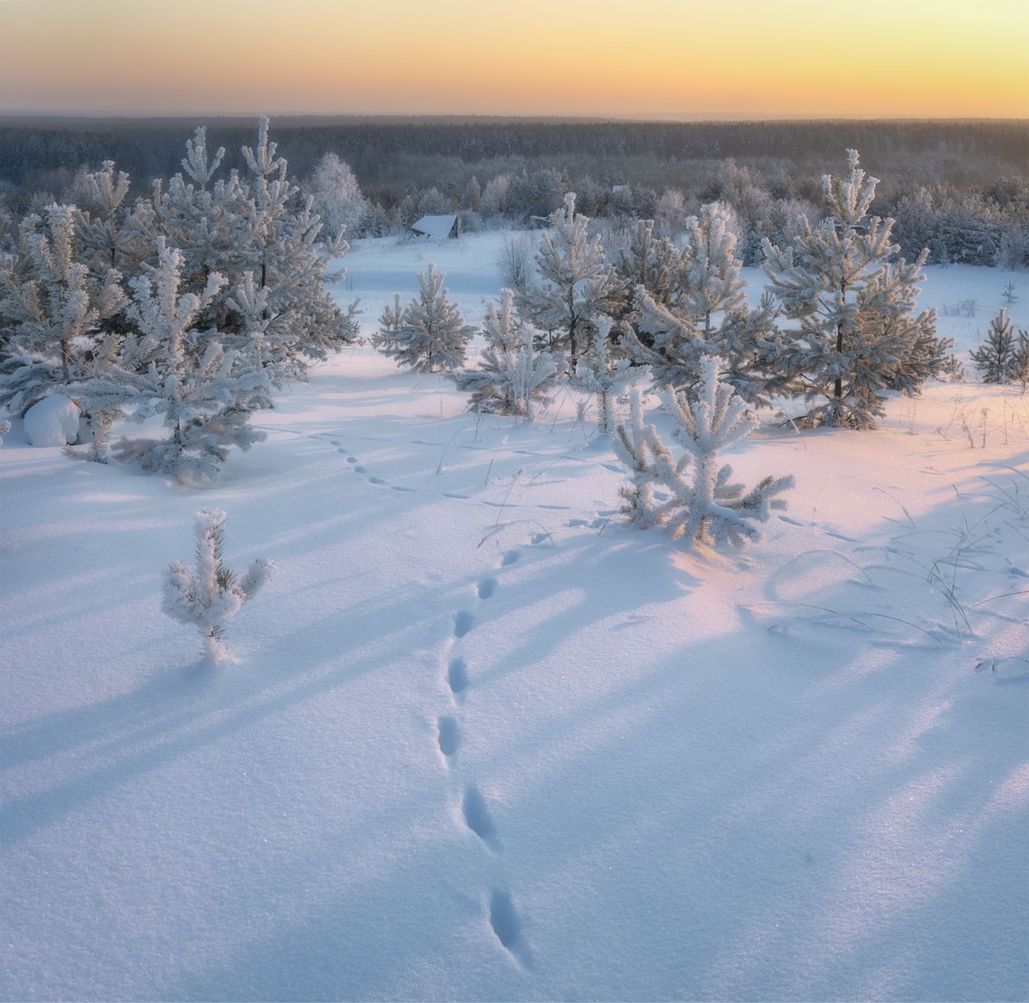 вечер закат тропинка снег следы сосны домик зима, Сергей Буторин