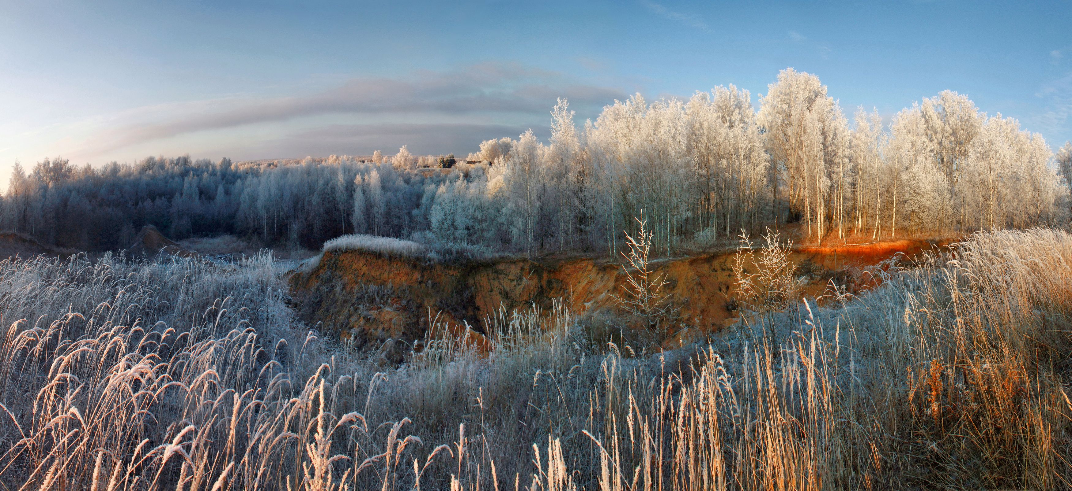 зима , лес, Александр Свистков
