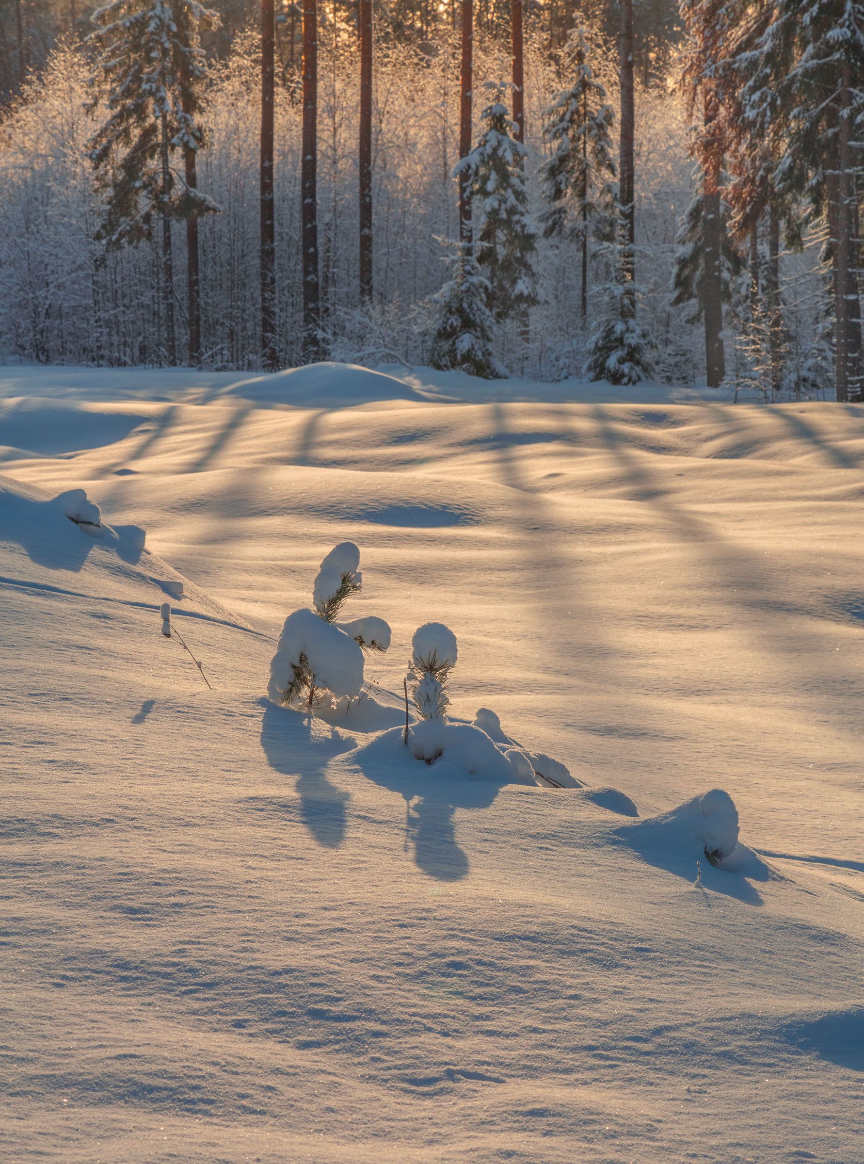 Зима в Нижегородской области.. Photographer Vladimir Ryabkov