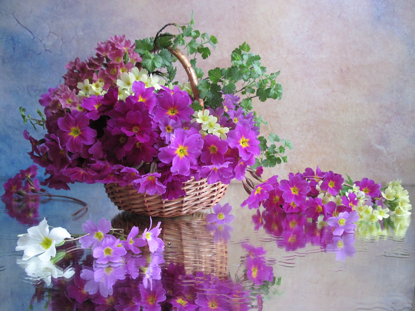 цветы, букет, примула, ветки крыжовника, корзина, Наталия Тихомирова