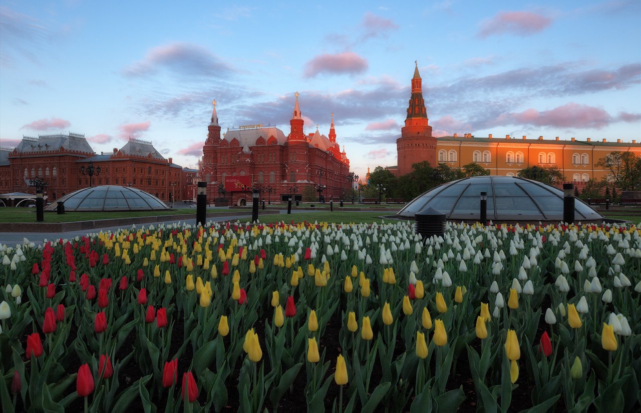 Кремль, Москва, Денис Сорокин