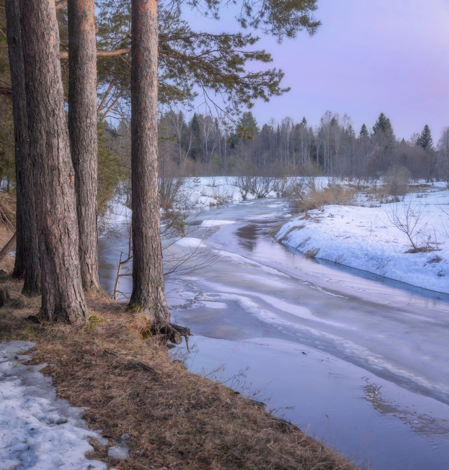 вечер закат краски река снег лед сосны берег, Сергей Буторин