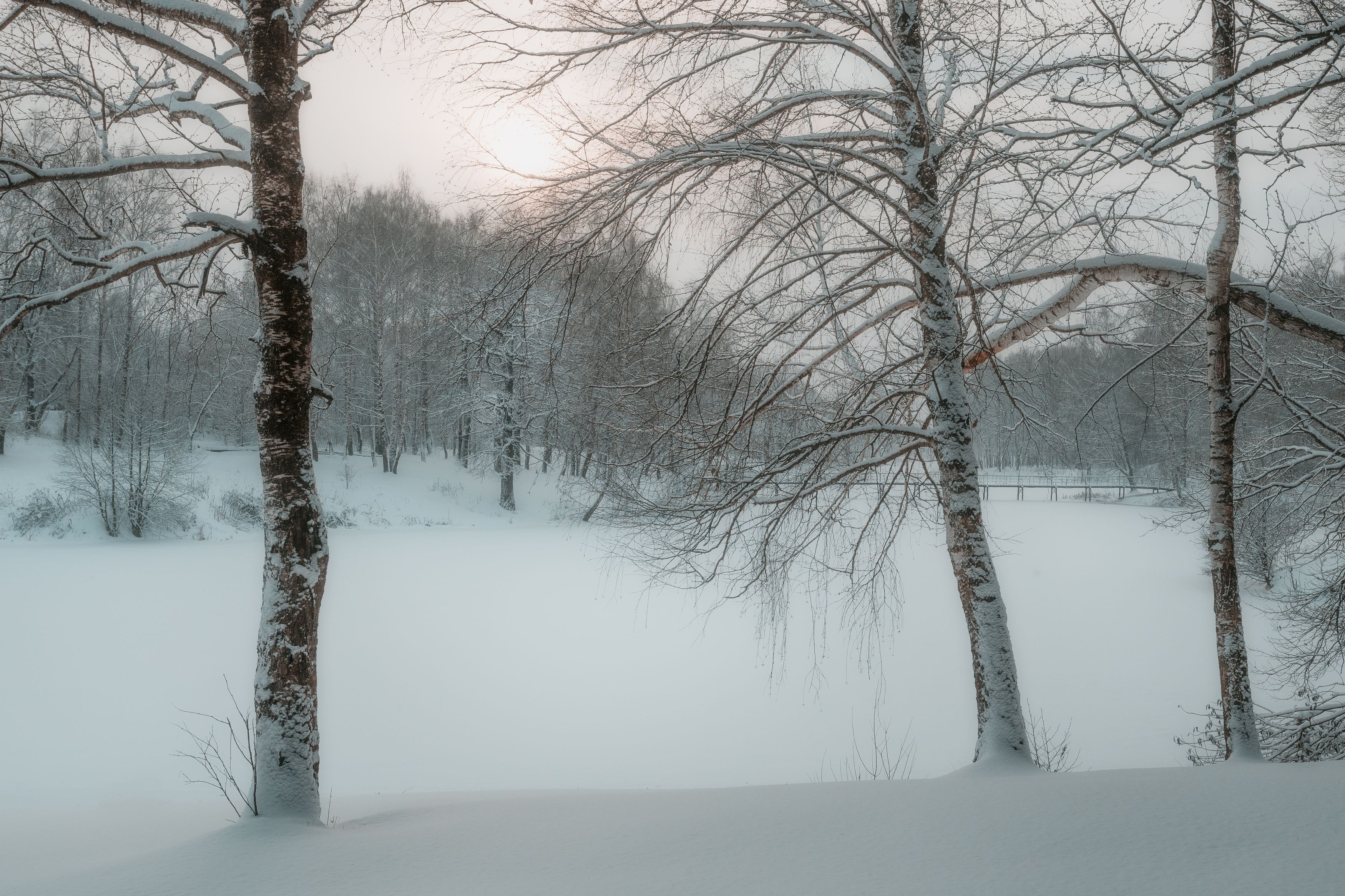природа, зимний пейзаж, зима, пейзаж, Мартыненко Дмитрий