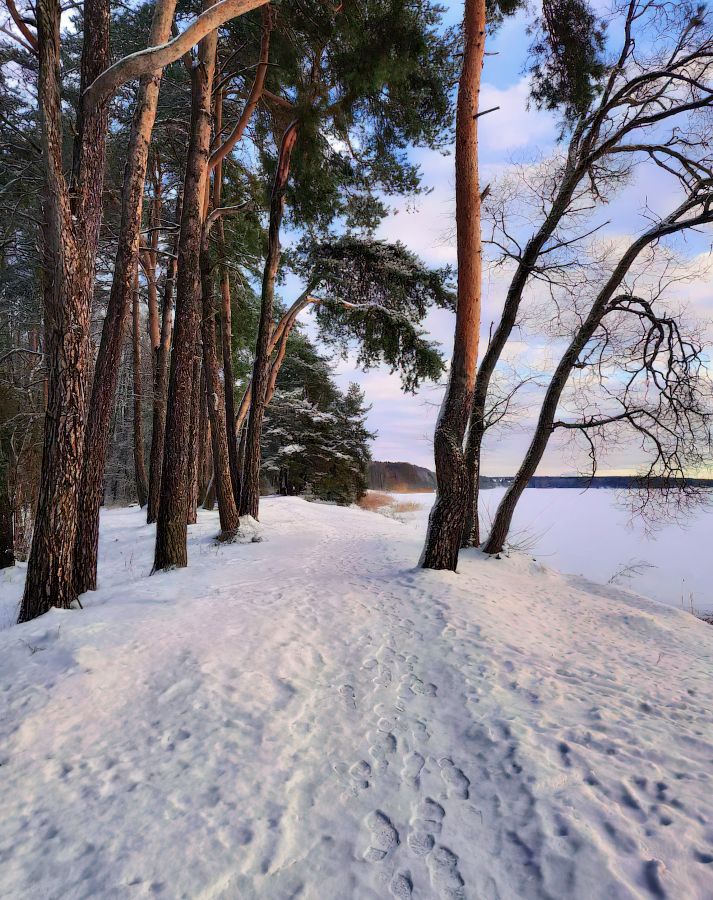 зима, утро, озеро,, Сергей Шабуневич