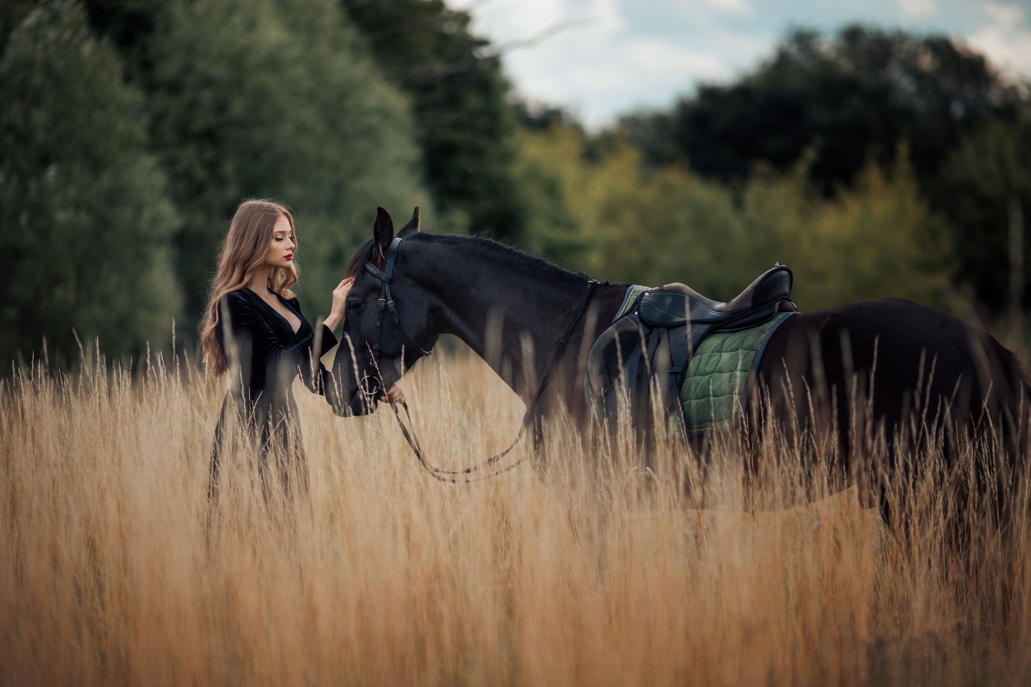 Девушка с лошадью видео. Фотосессия с лошадьми. Девушка с лошадью. Девушка на коне. Картинки девушка и лошадь.