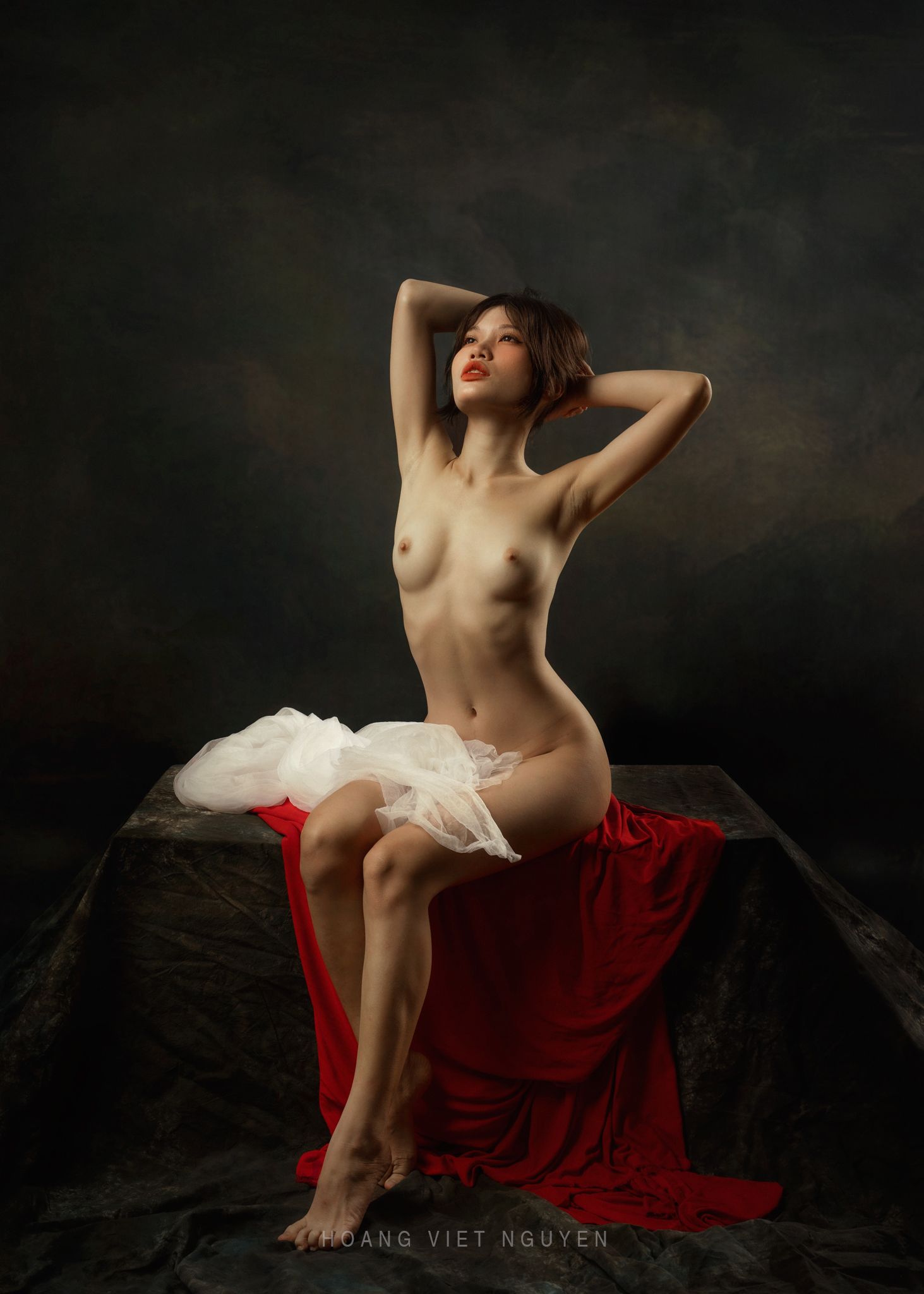 fine nude, nude, glamour, asian, vietnam, vietnamese, body, studio, young, red, painting, Nguyen Hoang Viet
