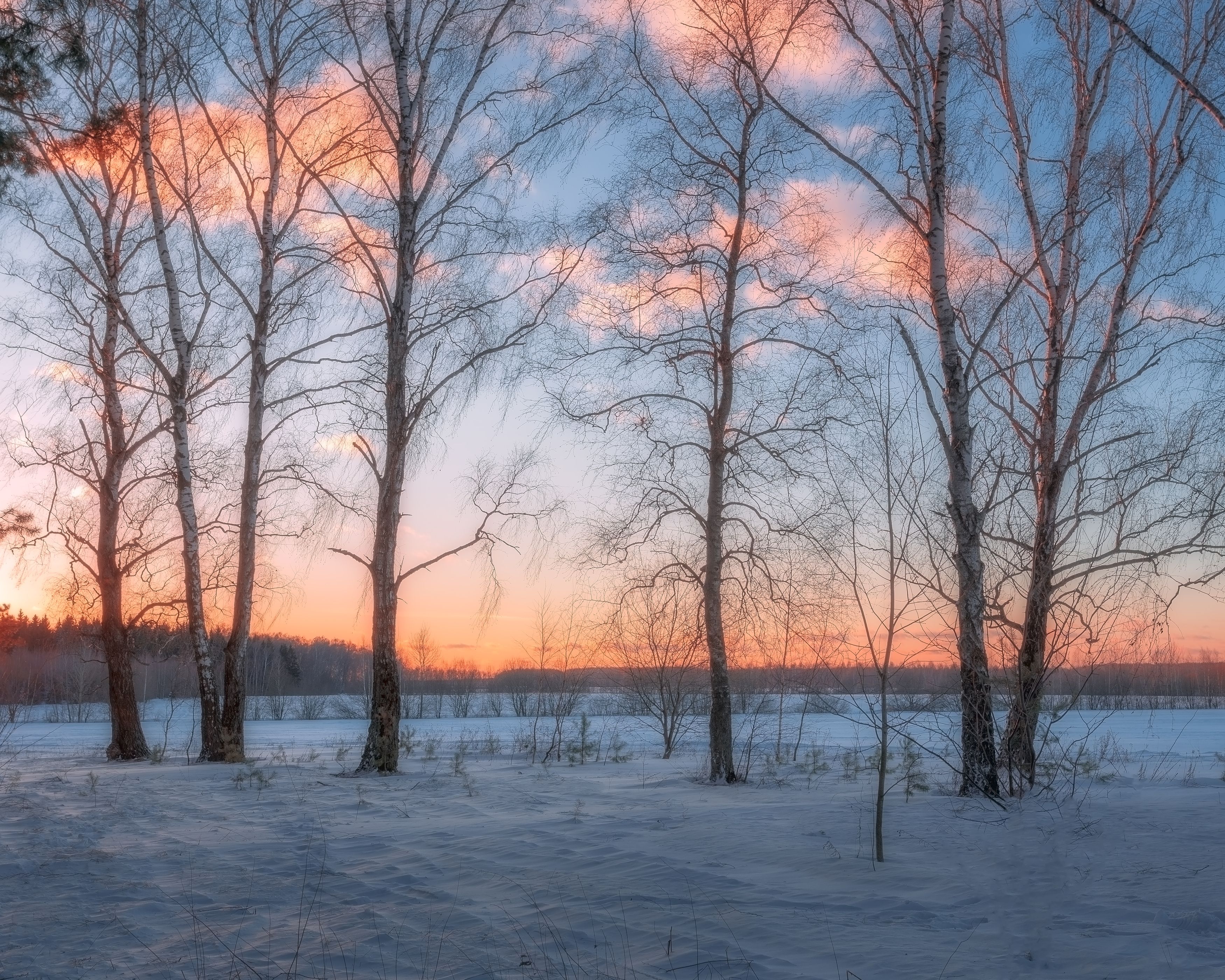 природа, пейзаж, закат, зимний пейзаж, сумерки, Московская область, Мартыненко Дмитрий