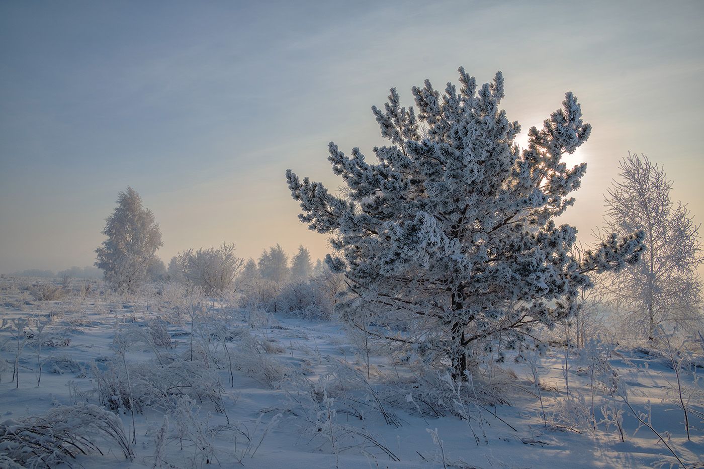 зима утро восход пейзаж, Зорин Дмитрий