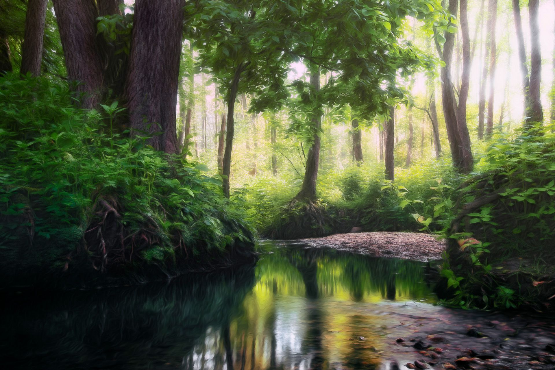 лес, свет, деревья, пейзаж, forest, woodland, trees, landscape, sunlight, Валерий Вождаев