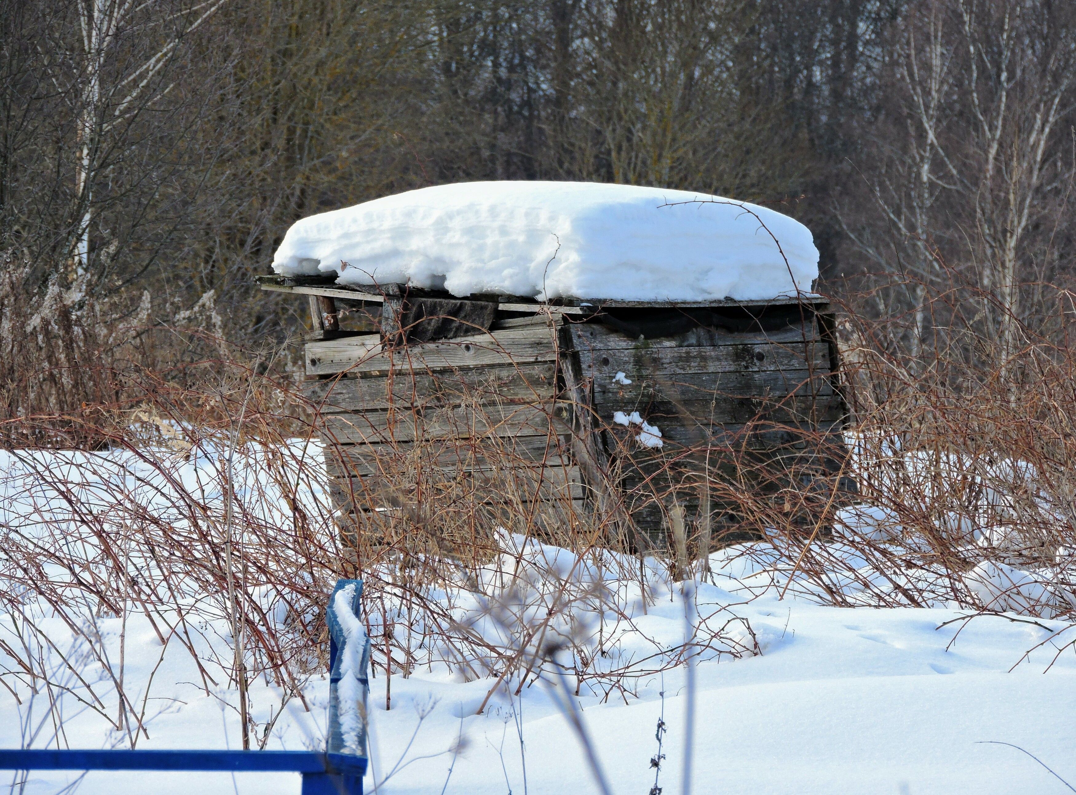 , Александр Сахар