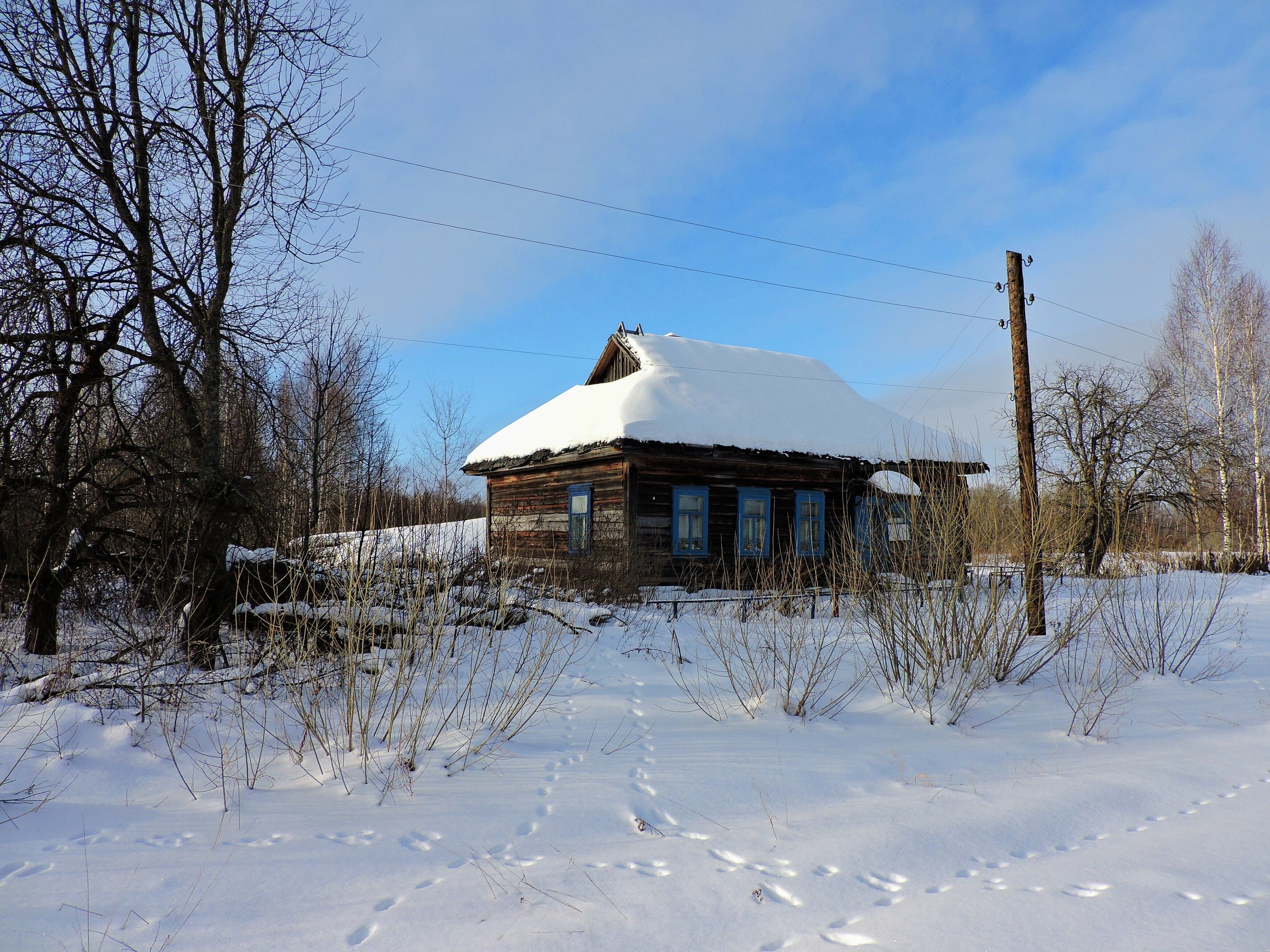 , Александр Сахар