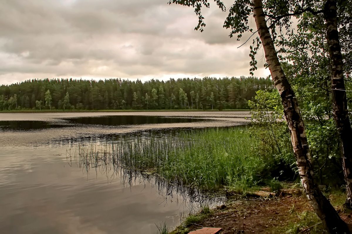 Озеро простое. Лесное озеро. У озера. Озеро язяр фото. Умэкэй озеро фото.