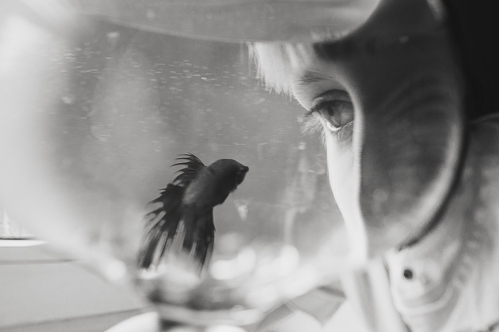 мальчик, взгляд, глаз, рыбка, аквариум, Ирина Сиротова