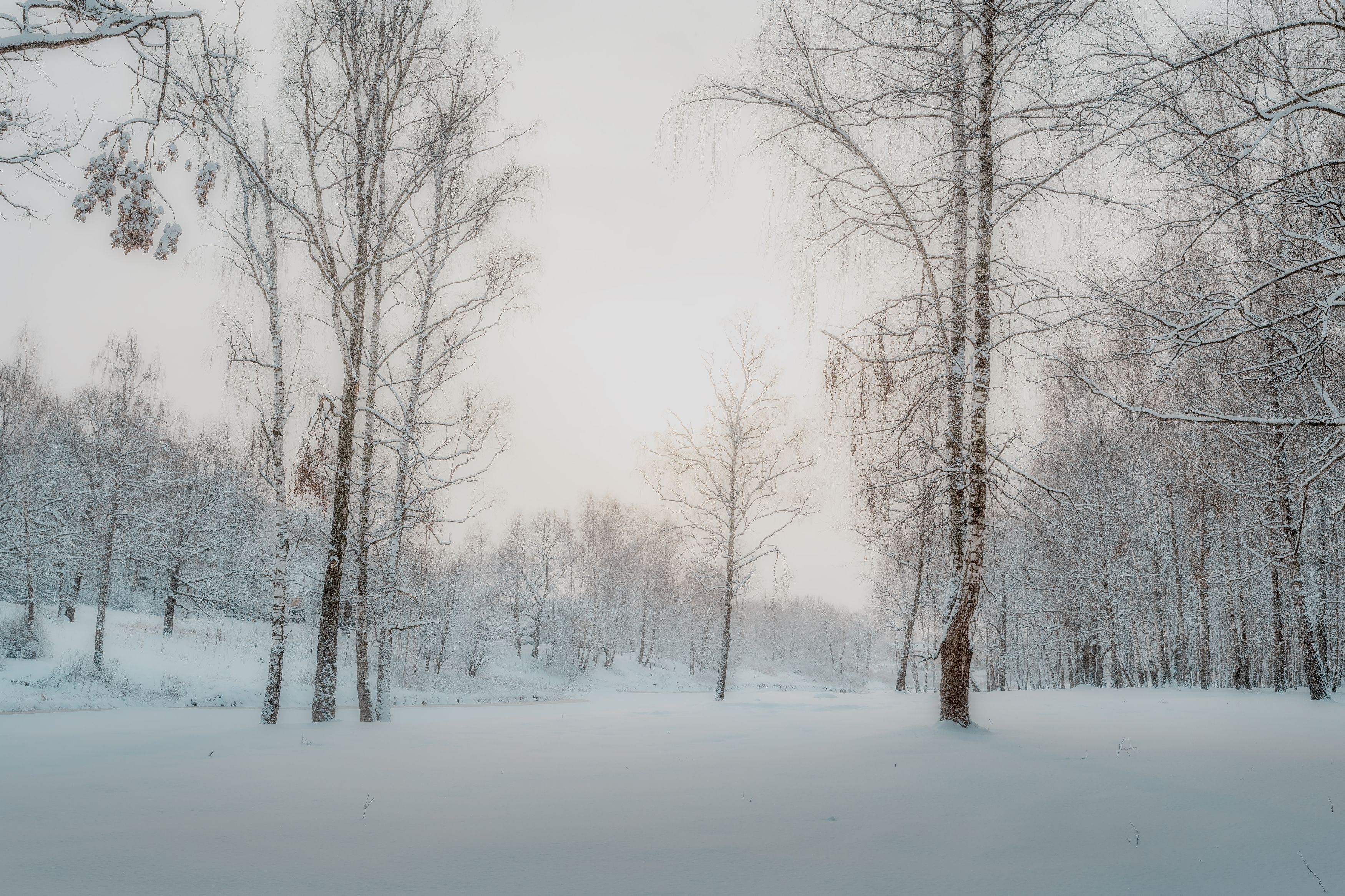 зимний пейзаж, природа, пейзаж, природа зимой, Мартыненко Дмитрий