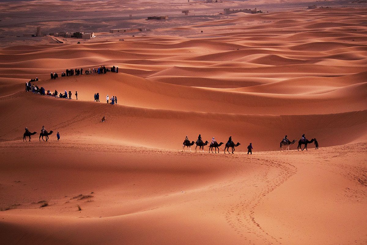 Sahara,  camels,  desert, Morocco , Orna Naor