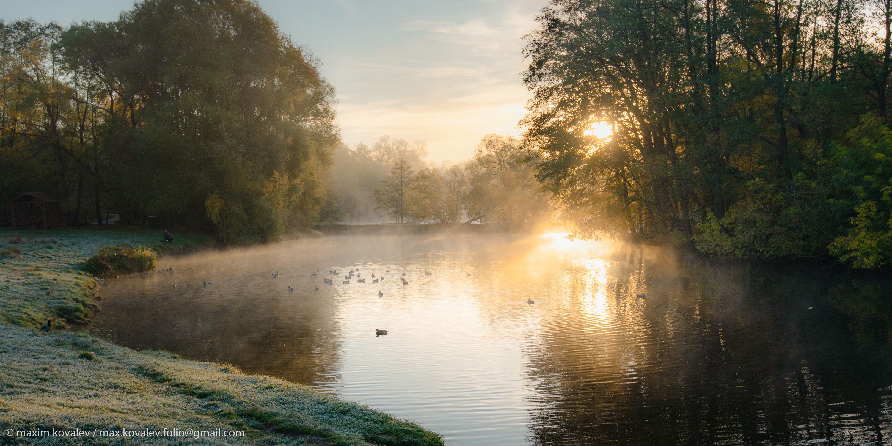 europe, kuzminki, moscou, moscow, russia, autumn, fog, gauze, haze, morning, nature, park, pond, sunrise, water, европа, кузьминки, москва, россия, шибаевский пруд, вода, восход, дымка, осень, парк, природа, пруд, туман, утро, Максим Ковалёв