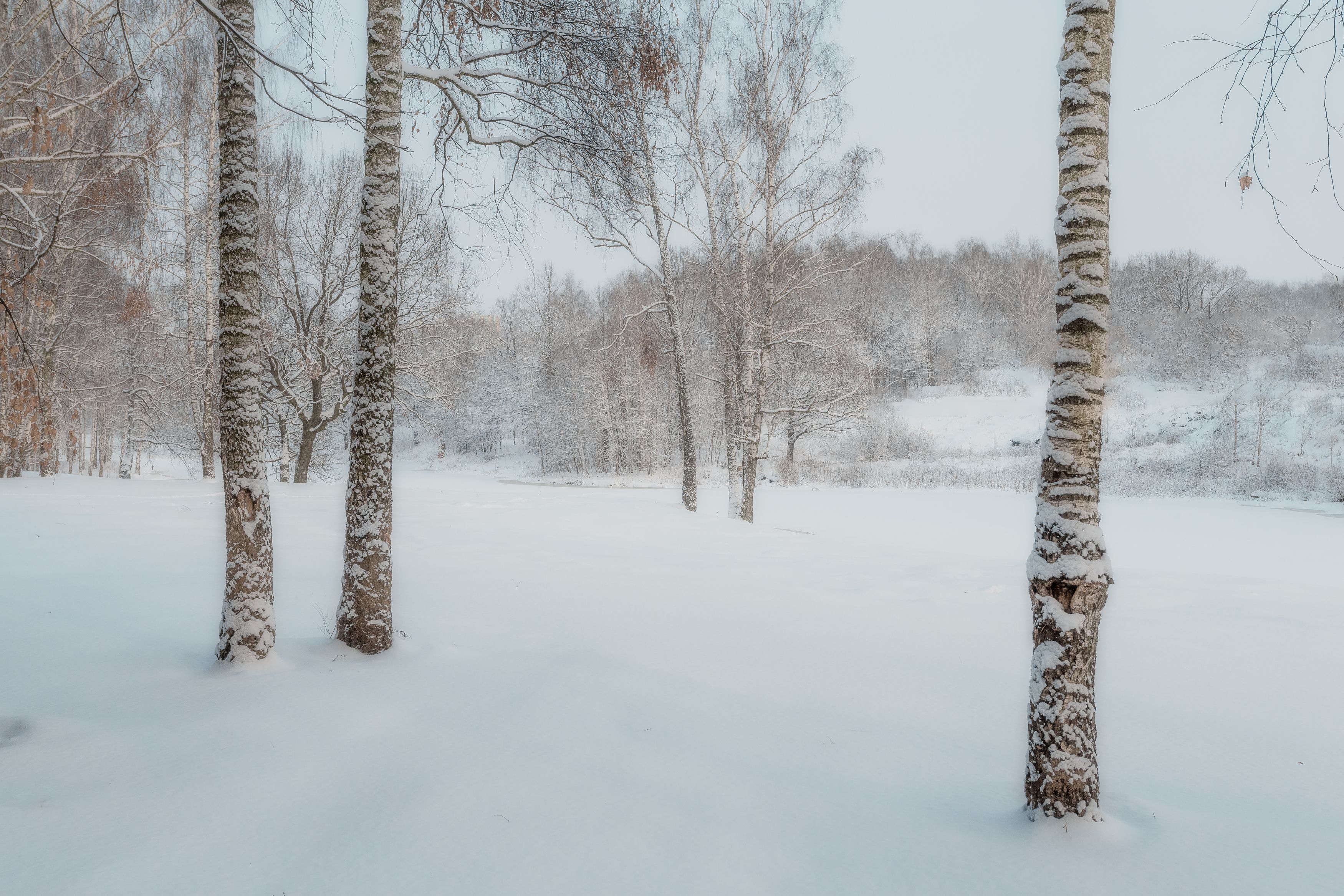 зима, природа, пейзаж, зимний пейзаж, Мартыненко Дмитрий