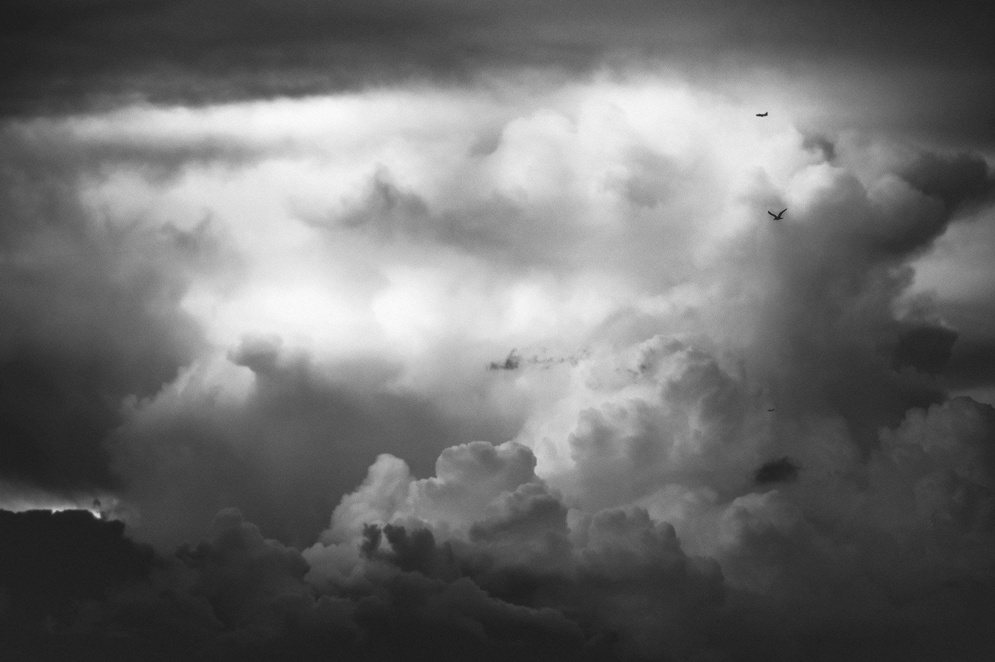 Black & white, Bw, Landscape, Light, Nature, Nikon, Sky, Андрей Лободин