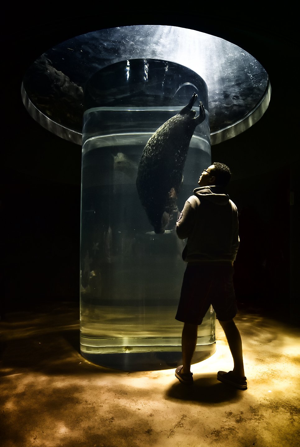 Aquarium, KIM SUK EUN