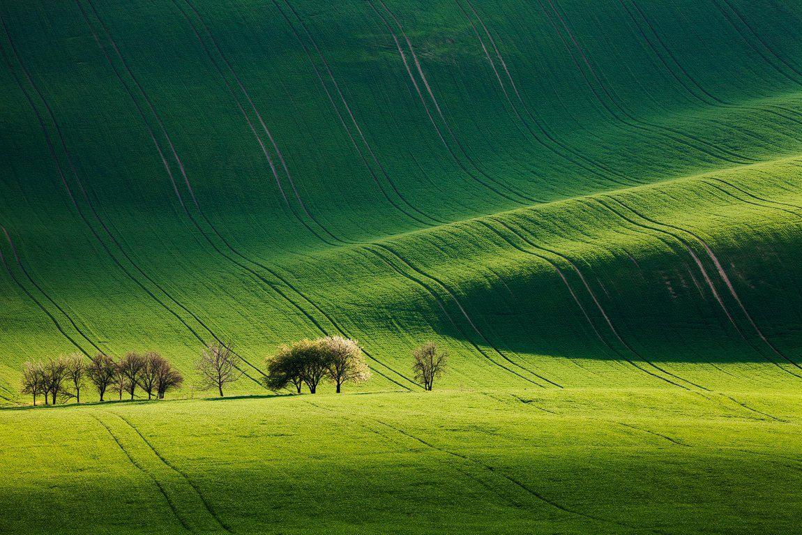 Czech republic, Fields, Green, Light, South moravia, Spring, Trees, Waves, Martin Rak