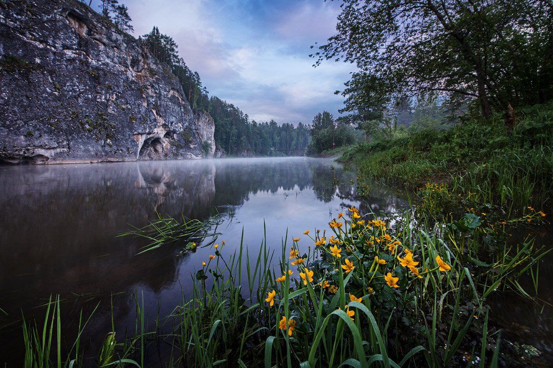 пейзаж, река, утро, цветы, вода, трава, скала, камень, оленьи ручьи, природа, Станислав Аристов