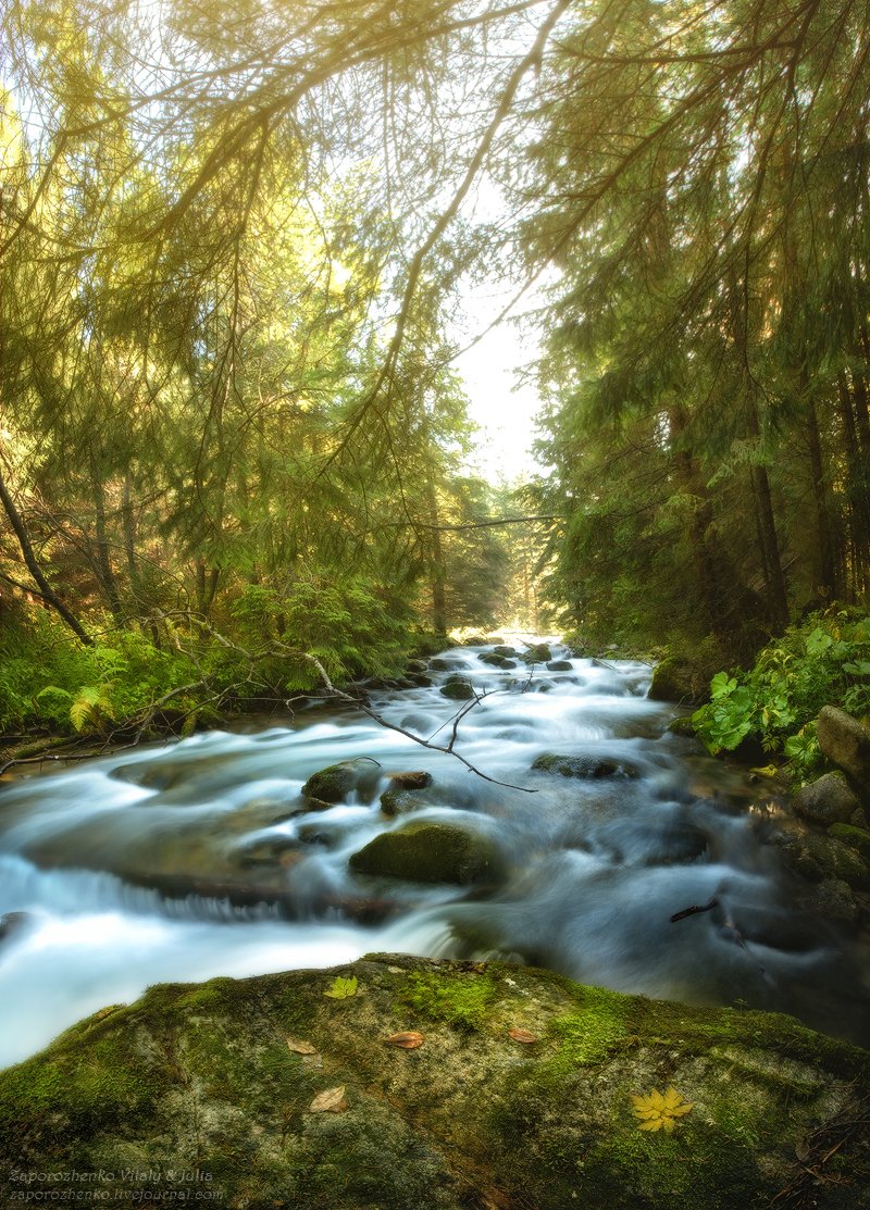 familygarden, poland, zakopane, kalatówki, kalatowki, zaporozhenko, vint26, sun, sunlight, tatra mountains, tatry, river, Zaporozhenko Vitaly & Julia