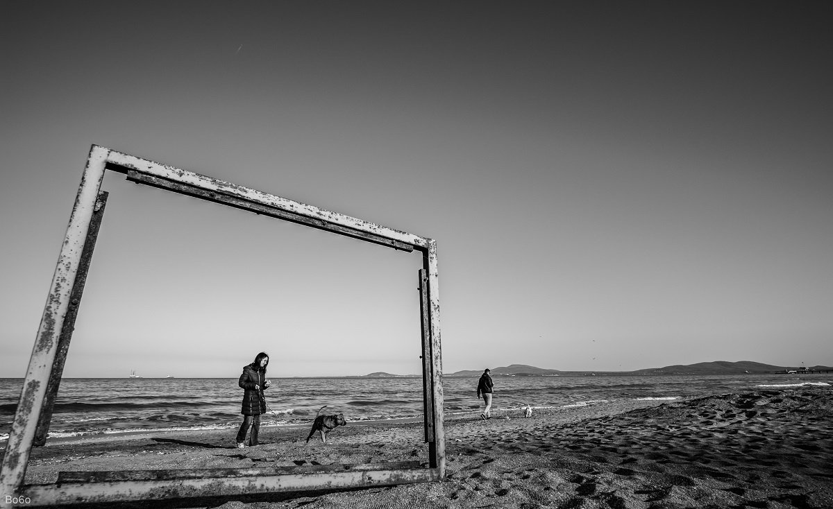 frame, divided,sea,sand,people, black and white, dogs,animals, beach, ocean, waves,, Boris Preslavski