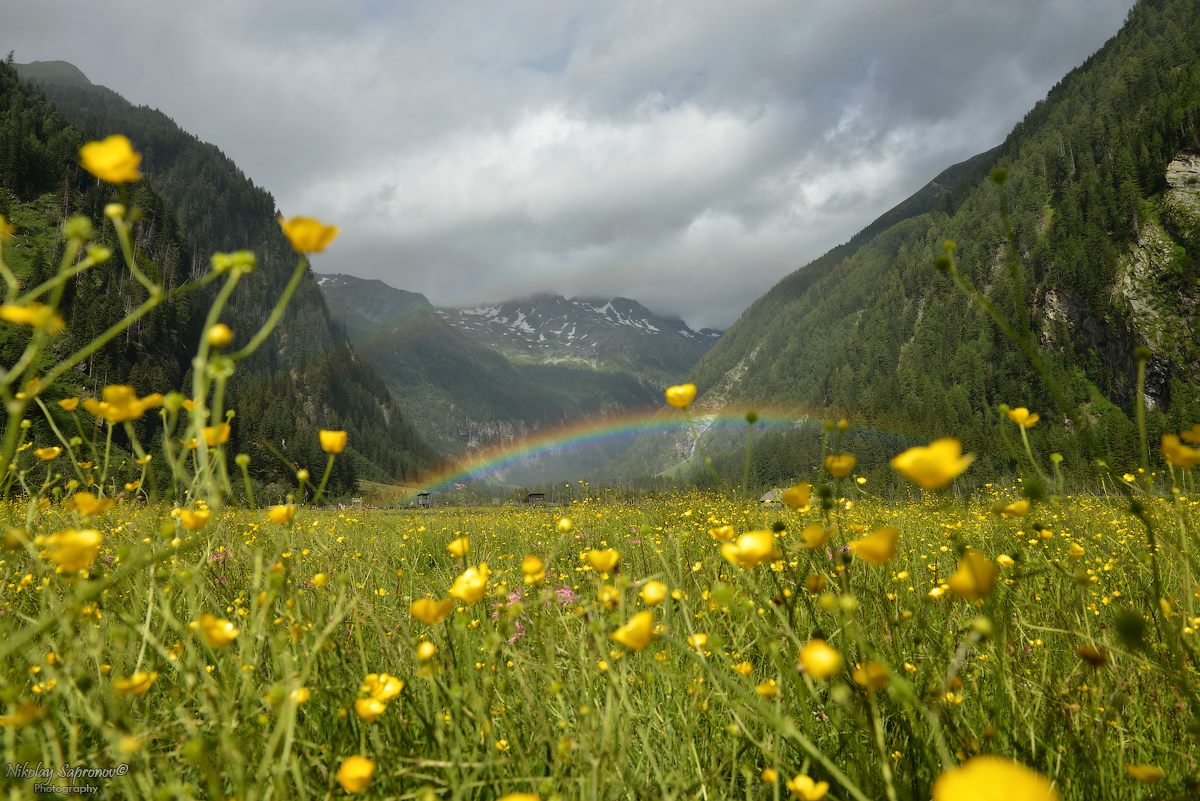 австрия, национальный парк высокий тауэрн, hohe tauern, alps, цветы, радуга, горы, лето в горах, Николай Сапронов