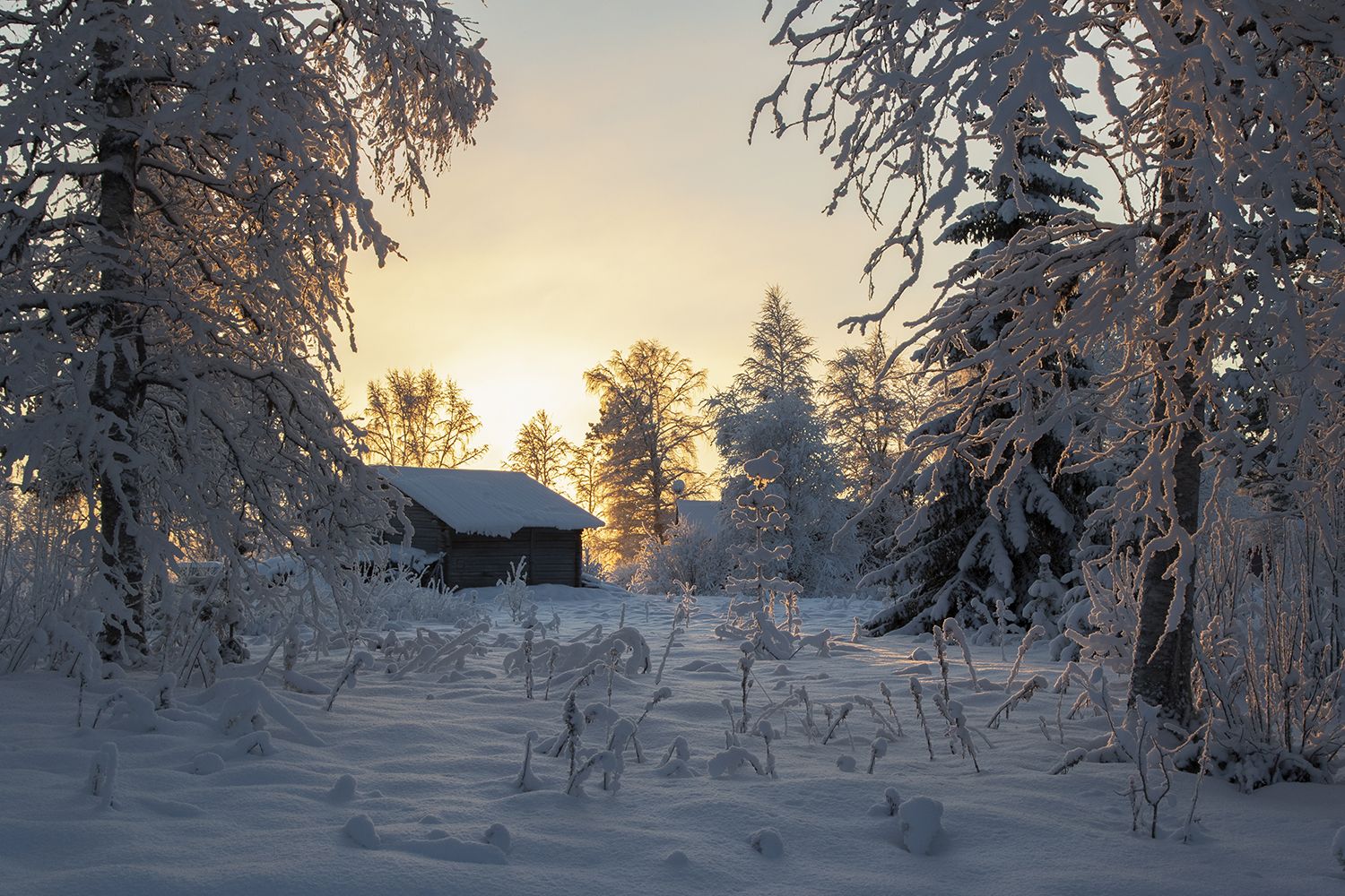 швеция,  Lapland