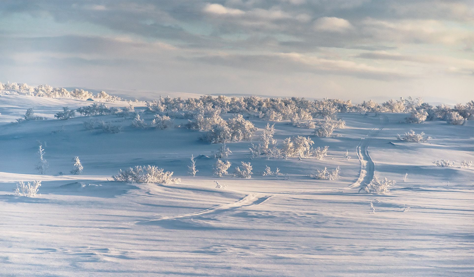 зима пейзаж мурманск север снег териберка landscape snow winter north, Рохмистрова Мария