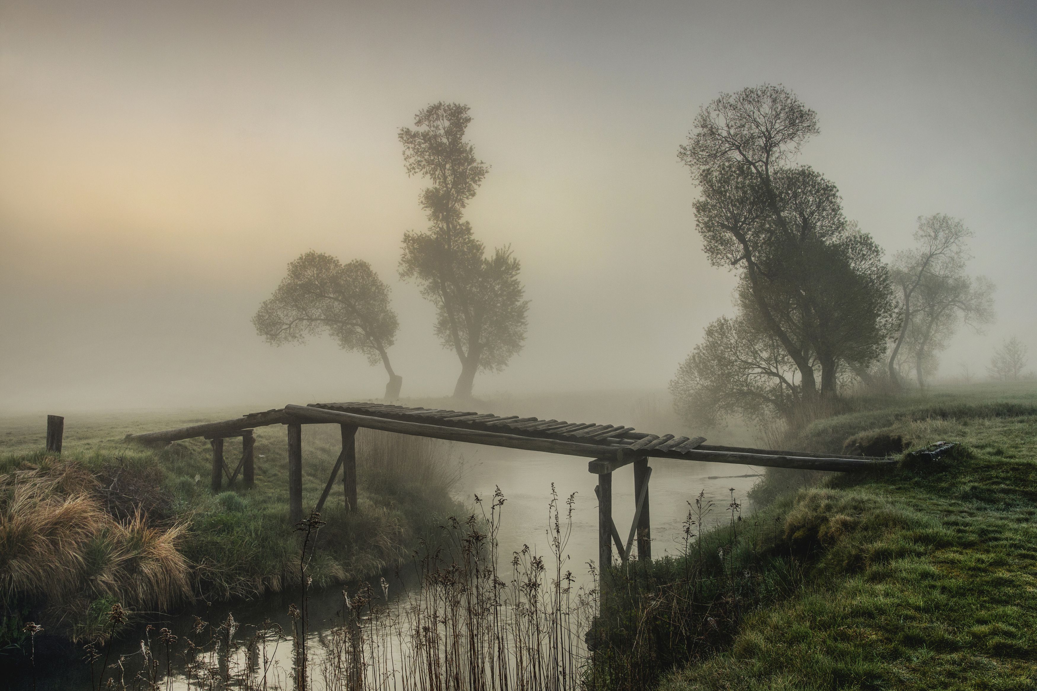 horizontal, photography, bridge, river, landscapes, tree, fog, nature, cyfka, water, morning,, Damian Cyfka