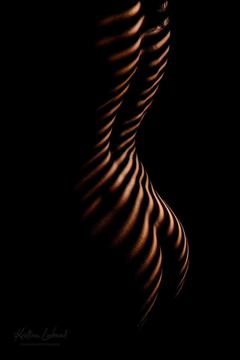 tiger, zebra, nudes, butt, back, body, bodyscape, lightandshadows, bodypaint, girl, model, woman, nudeart, Liebrand Kristian