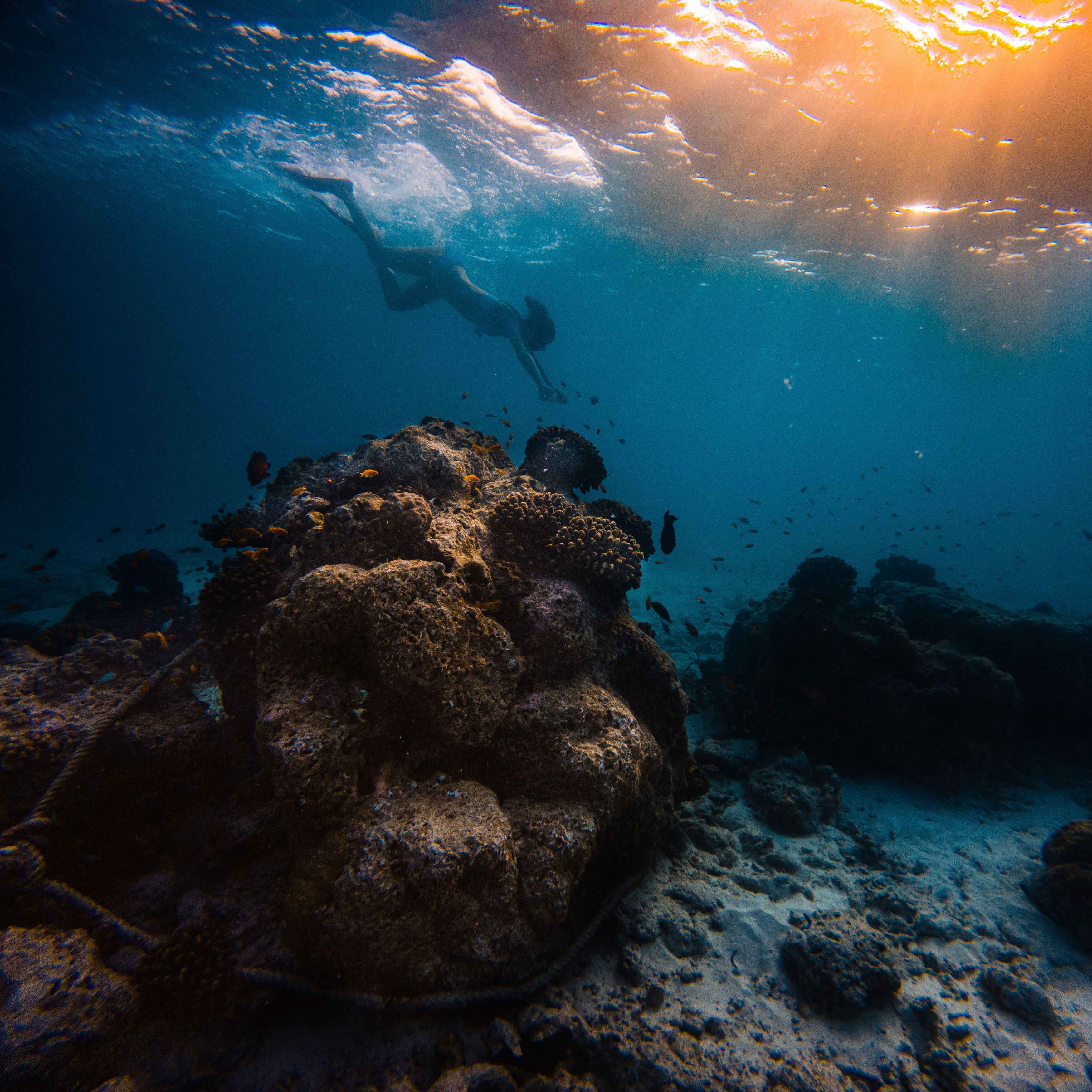 подводная съемка, аква, под водой, gopro, gopro 11, фото под водой, риф, девушка, Антон Блохин